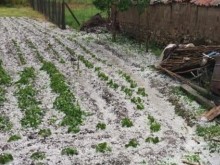 Страшна градушка помля Карловско