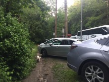 Столичанка гневна на пловдивчани: Това да не ви е "Столипиново" или Шекера?
