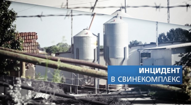 Установиха причината за смъртта на работниците в свинефермата в Попина