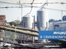 Установиха причината за смъртта на работниците в свинефермата в Попина
