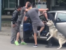 Нечовешки сцени от Пловдив с агресия на пътя! (18+)
