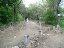 Засадиха 35 дървета на мястото на 8 отрязани заради водопровод