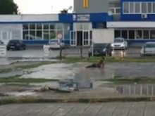 Важно! Някой да е загубил пари около КАТ Пловдив?