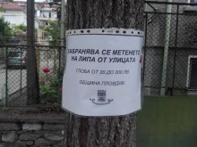 Глобяват метачите на липи до 200 лева