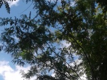 Счупена лампа на бул. "Марица Юг" заплашва пешеходци и автомобили