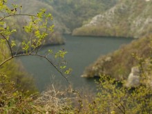 Две момичета се удавиха в река Върбица, след като водна змия ги подплаши