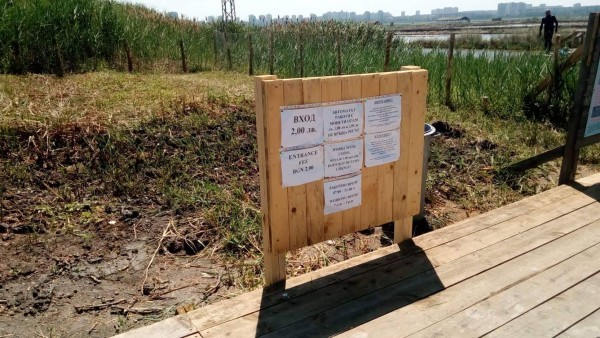 Отворено писмо до пловдивски бизнесмен