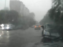 Порой удави Пловдив