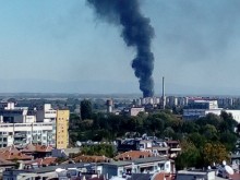 Бруталната истина за циганските палежи на кабели: Те имат адвокати и са недосегаеми
