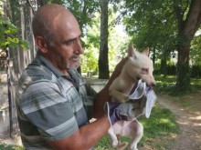 Бяло вълче се роди във варненския зоопарк