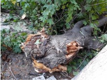 Страховита буря опустоши град Септември