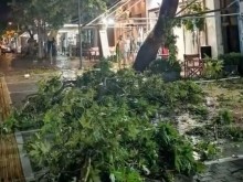 Извънредно положение на Халкидики, има загинали туристи!