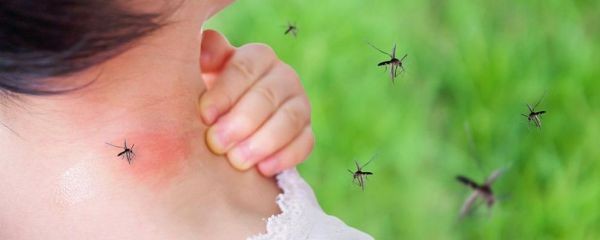 Западнонилска треска  пренасяна от обикновените комари е голямата опасност за хората у