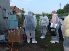 Лабораторните проби потвърдиха африканската чума в Пловдивско