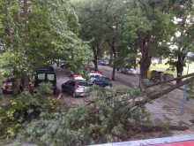 Мъж загина, а жена е в тежко състояние след снощните бури над страната