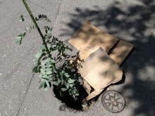 Пловдивчани обезопасиха еднометрова дупка с кашони