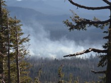 Пожари с размерите на половин България горят в Сибир