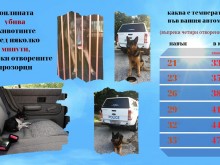 Полицията съветва как да се грижим за кучетата в жегата