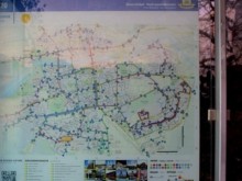 Променят маршрута на градски автобуси в Пловдив