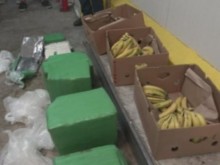 Търсят връзка между кокаина, изплувал в морето край Варна и този в кашоните с банани