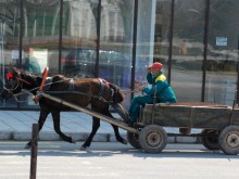 Водач на каруца загина след сблъсък с пиян шофьор
