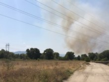 Пожар пламна край двореца в Кричим