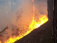 120 декара гора горят край Ветрен