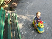 Читател на Plovdiv24.bg: Полицията е безсилна, а децата ни играят в боклук и мизерия