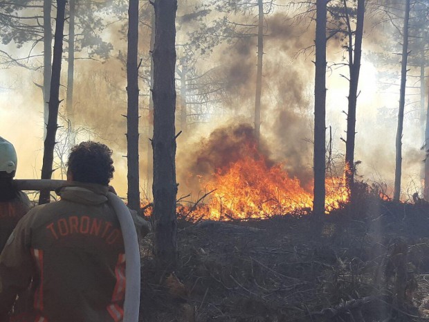 34 пожара са възникнали от началото на годината до момента