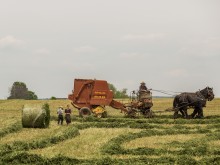 В румънска ферма превъзпитават деградирали младежи с къртовски труд, обвиняват ги за издевателства над деца