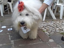 В първия учебен ден пловдивски училища се присъединяват към дарителска кампания на УМБАЛ "Св. Георги"