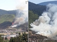 Горят 60 дка иглолистна гора над Велинград