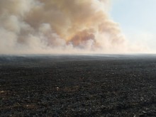 17 палежа на стърнища за денонощие въпреки забраните, глоби чакат виновните