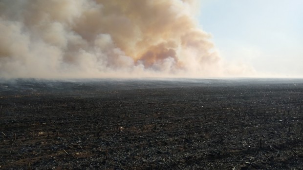 17 сигнала за възникнали пожари в обработваеми земеделски площи са