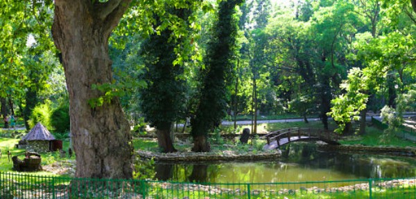 Тридневна работна среща на зоопарковете в България се провежда в