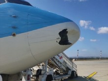 Щъркел попречи на самолет да излети от Бургас