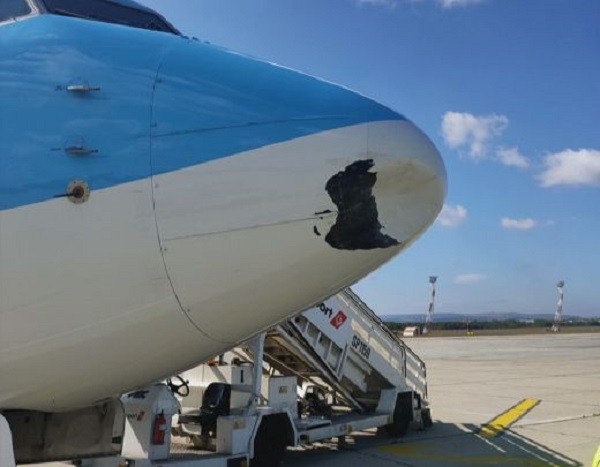 бТВ
Щъркел се удари в самолет който е излитал от Бургас