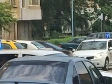 Икономическа полиция удари автошкола в Пловдив
