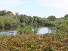 Не могат да открият тялото на мъжа, отнесен от реката край Водната палата