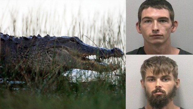 Властите в щата Флорида арестуваха двама души в Палм сити