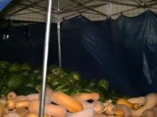 Търговци на тикви в Пазарджик пребиха до смърт крадец