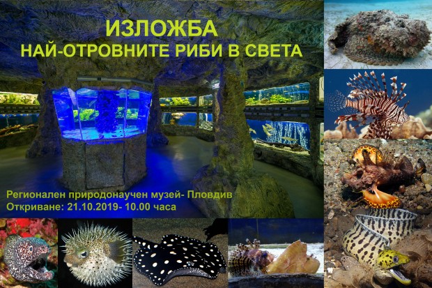 Нова жива изложба в аквариума на Природонаучния музей в Пловдив