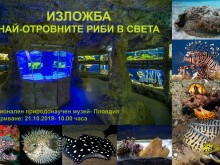 Нова жива изложба в аквариума на Природонаучния музей в Пловдив