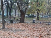 Пловдивчанка алармира за нелицеприятни гледки в "Централен"