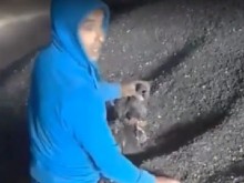 Безсърдечие! Садист от ромски произход се забавлява, мъчейки малко кученце (18+)