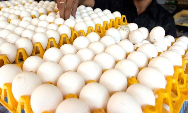Индиецът Субхаш Ядав умря опитвайки се да изяде 50 яйца за