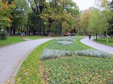 Разкрасяват Пловдив с над 1 000 000 цветя