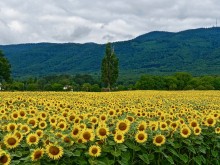 Осъдиха земеделец за злоупотреба с евросредства
