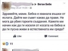 Потрес на квадрат! Веган мама не иска да "убие" въшките в косата на детето си, пита как да ги пусне живи в естествената им среда
