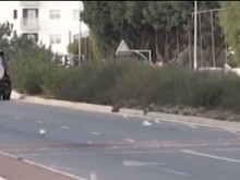 Има задържан за катастрофата в Кипър, при която загина българче